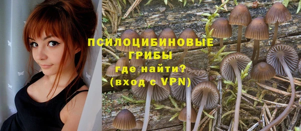 тгк Аркадак
